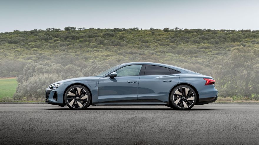 Casi cinco metros de longitud.