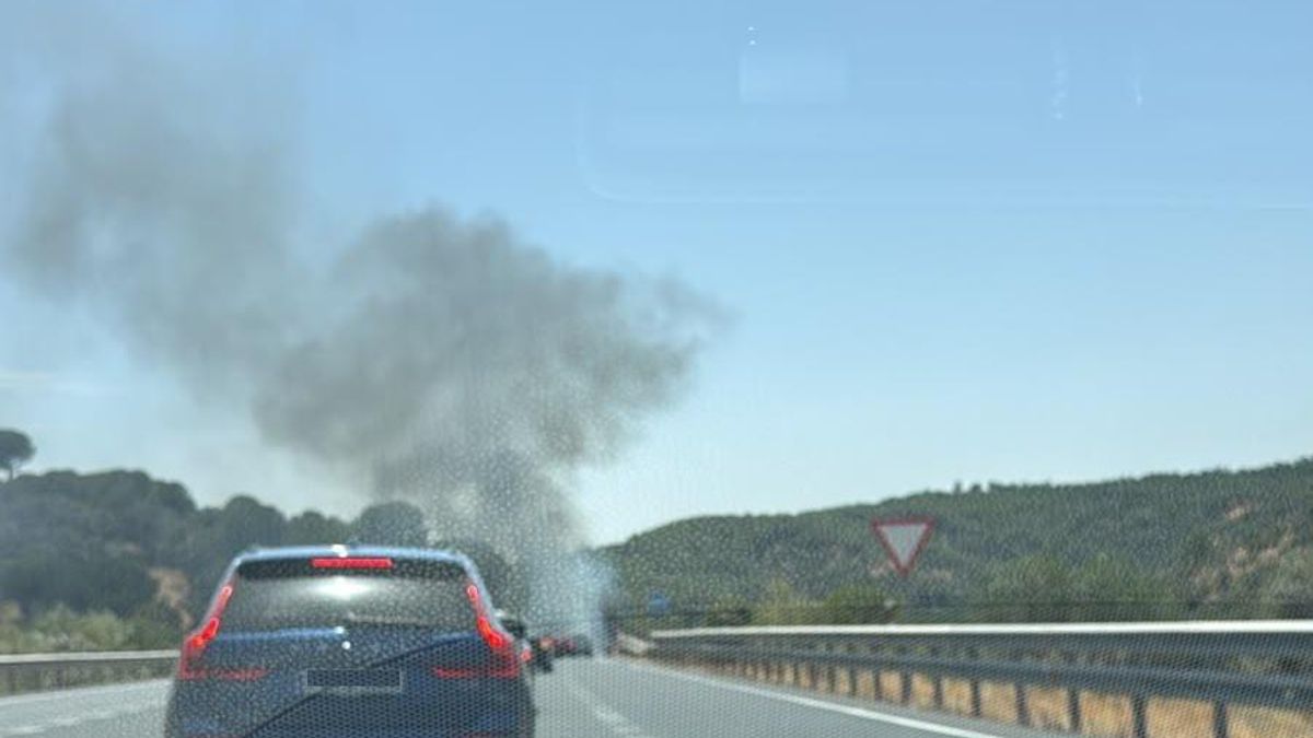Incendio en la N-432 entre Córdoba y Cerro Muriano.