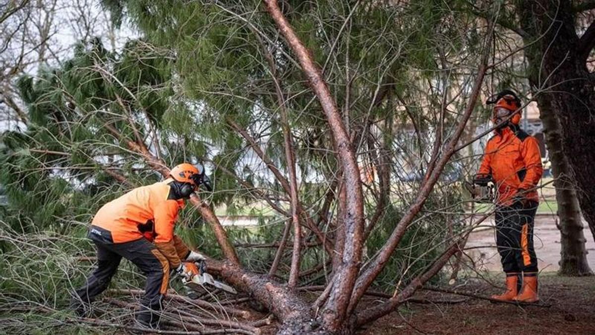 Mérida activa una oficina municipal para atender las incidencias derivadas del temporal