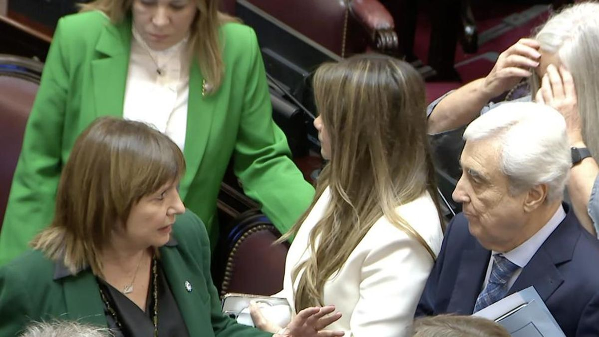 El Gobierno incorporó más cambios a la Ley de Fuego y hay quejas en el Senado por la falta de un dictamen final