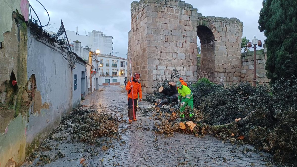 'Kristin' provoca daños en inmuebles, caída de árboles y cortes de vías en Extremadura