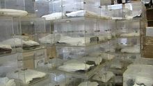 Varias urnas electorales apiladas en un almacén