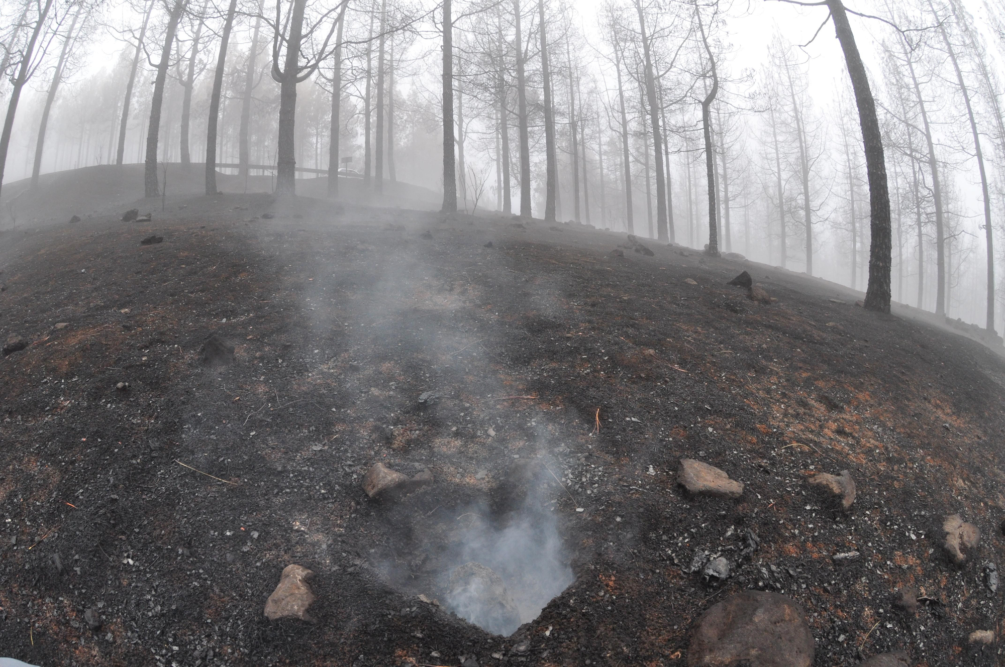 Zonas quemadas de la cumbre de Gran Canaria donde aún se aprecia el humo