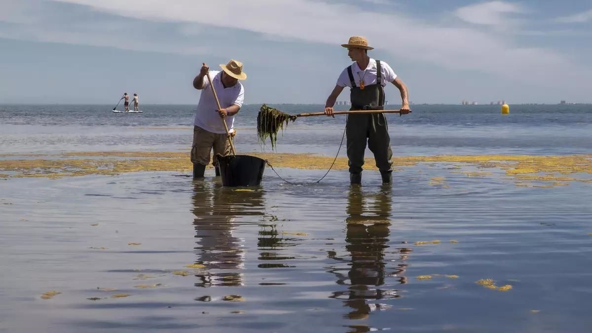 Otro paso atrás en el Mar Menor
