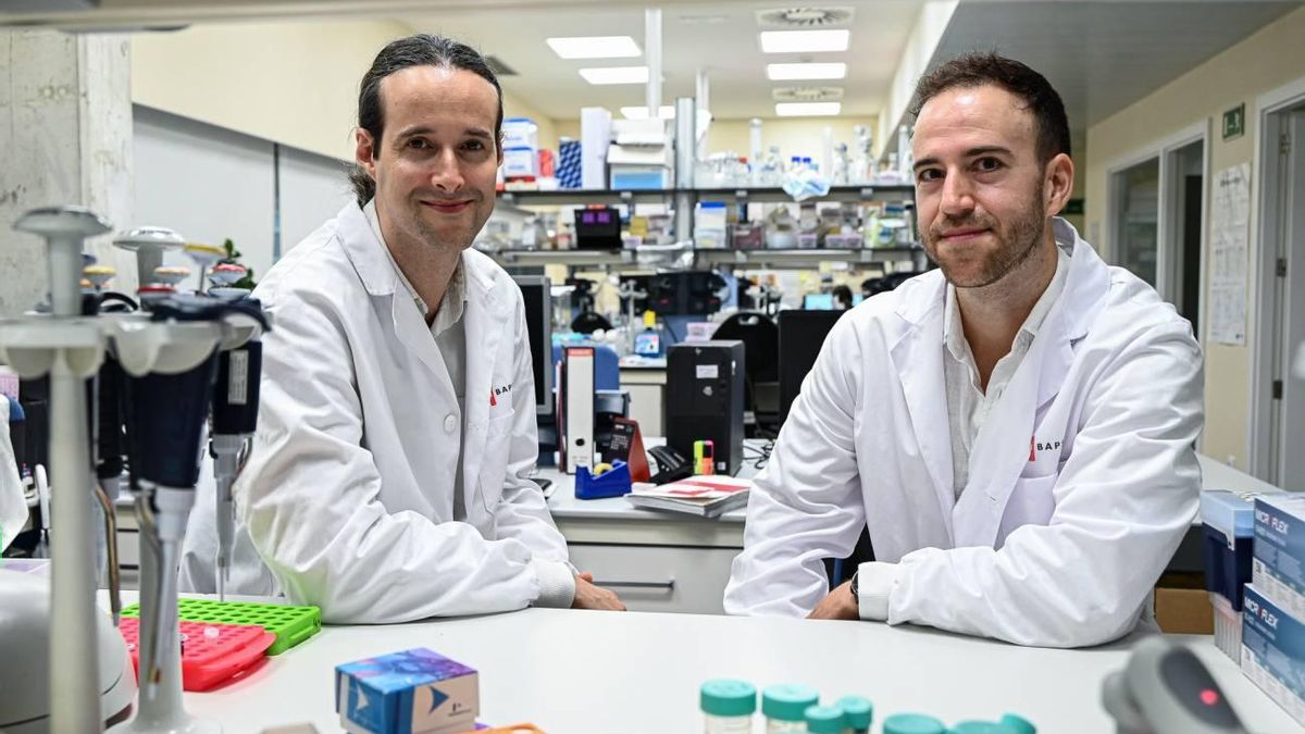 Un algoritmo epigenético rastrea el origen del cáncer y predice su progresión