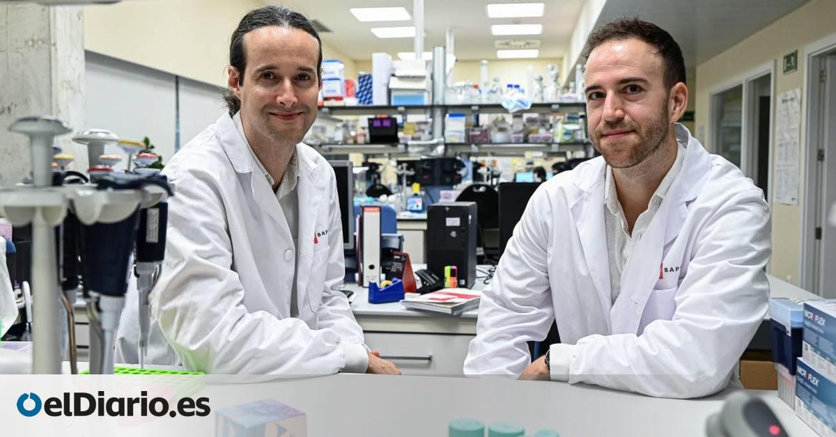 Un algoritmo epigenético rastrea el origen del cáncer y predice su progresión