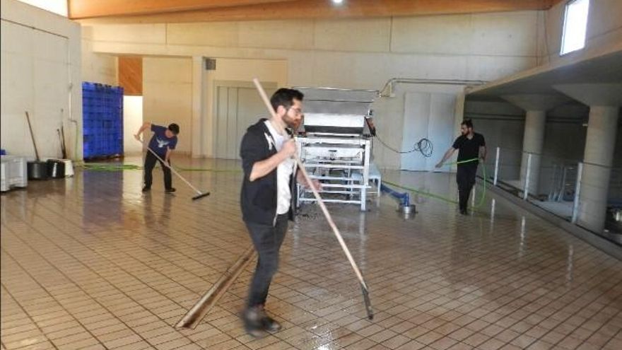 Felipe limpiando con compañeros la bodega.