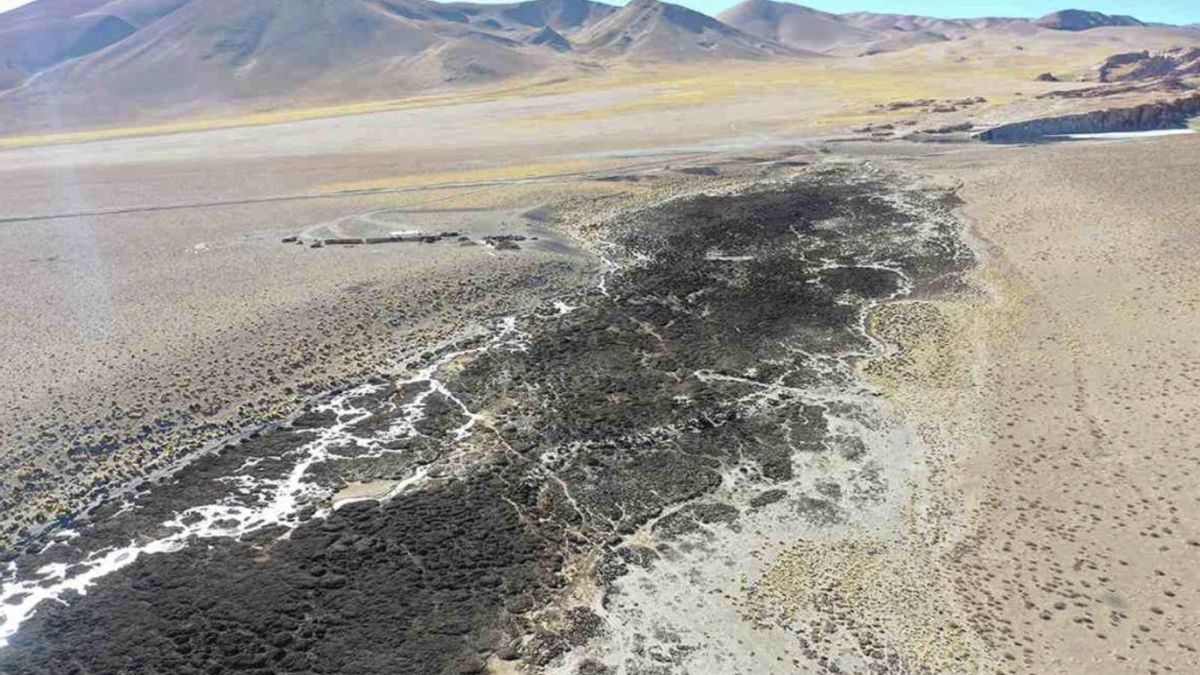 Foto: Leo Seura - Asamblea Pucará