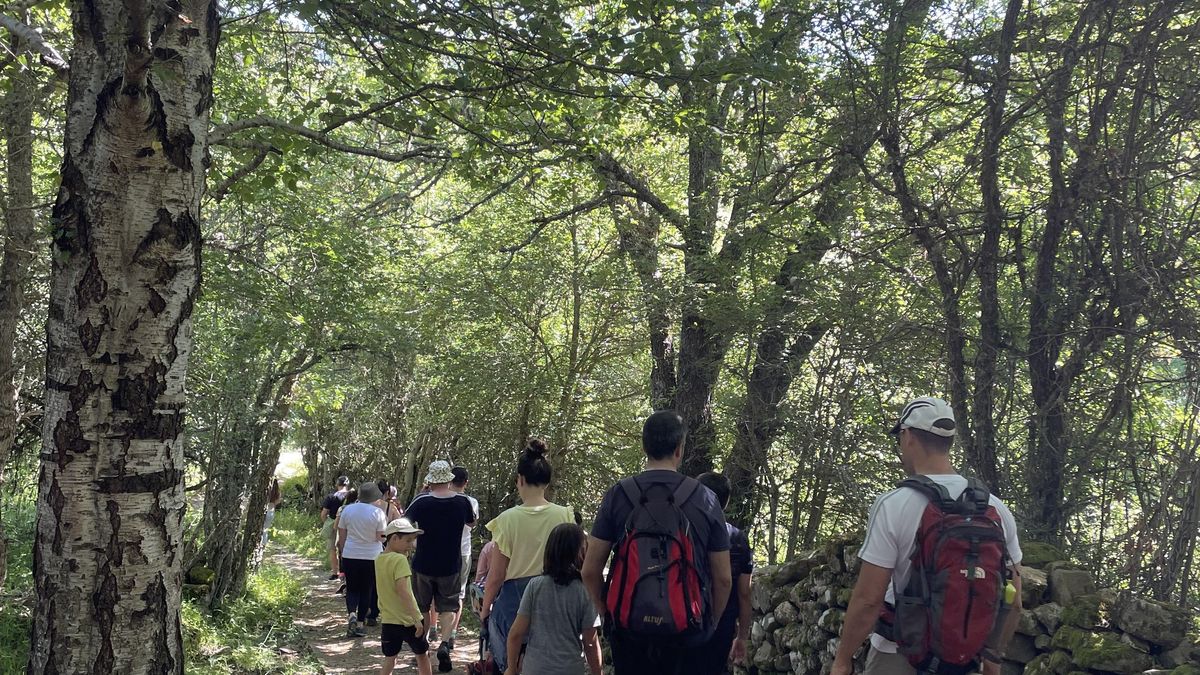 Planes en La Rioja: dos paseos para descubrir Sierra Cebollera