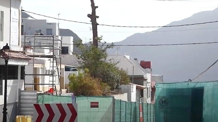 El Ayuntamiento de Mogán ya ha cortado las hojas del pino