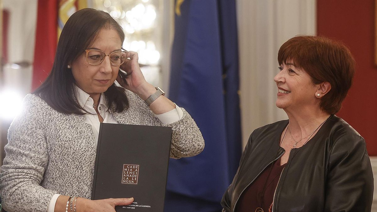 L’AVL alerta a les Corts, per tercera vegada, de la il·legalitat de les esmenes aprovades per PP i Vox al pressupost de la institució