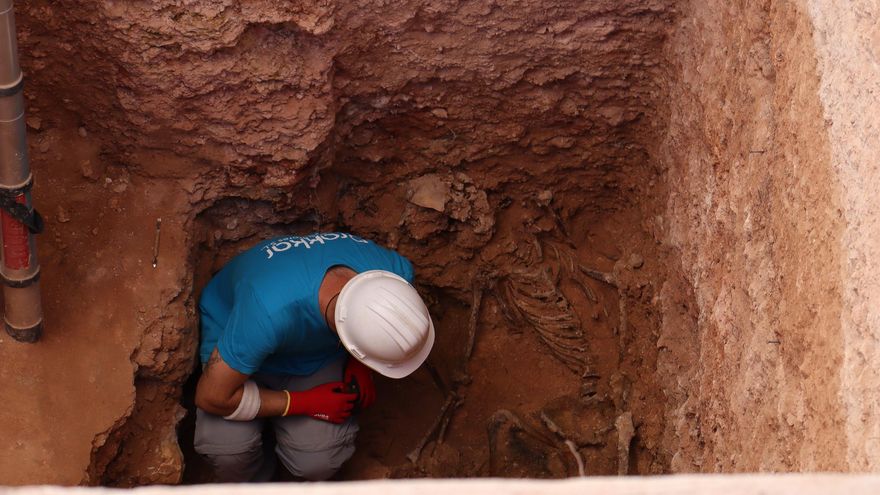 Ya se han exhumado más de la mitad de cuerpos de víctimas del franquismo en las fosas de Manzanares