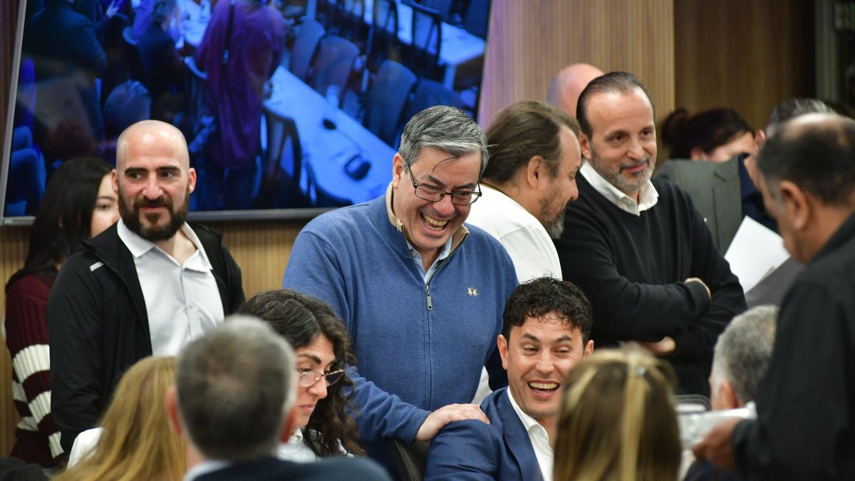 Germán Martínez, presidente del bloque peronista, en el plenario de comisiones de Salud y Discapacidad