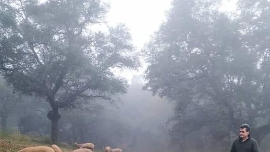 Cerdo ibérico y aires serranos: el empeño de Las Navas de la Concepción en preservar su manera artesanal de hacer embutidos