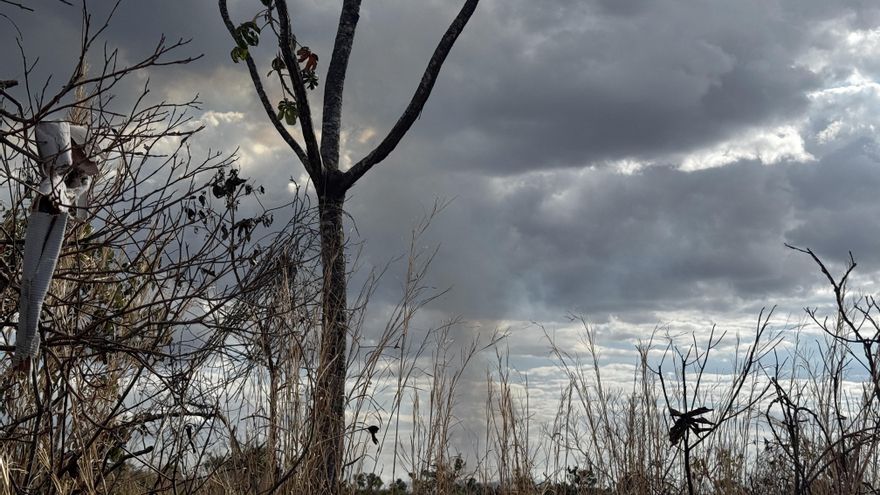 Brigadistas comunitarios, primera línea de defensa contra incendios forestales en Brasil
