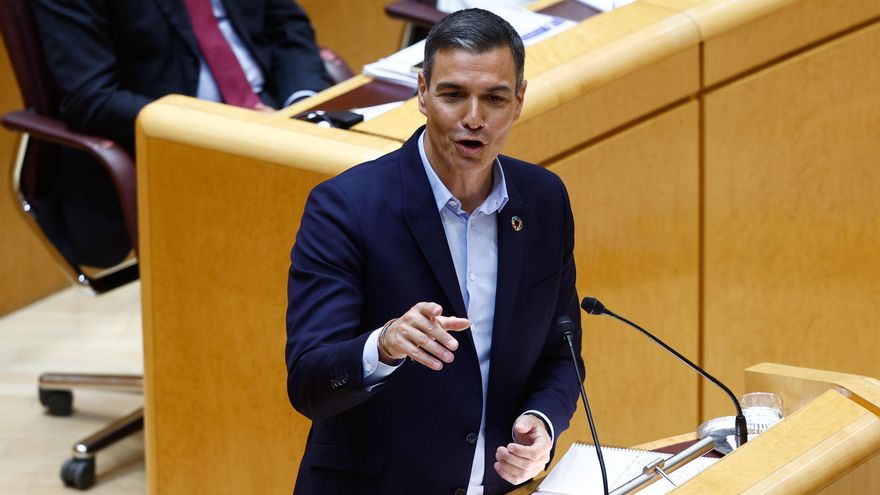 El presidente del Gobierno, Pedro Sánchez, interviene en el pleno del Senado celebrado. EFE/ Rodrigo Jiménez