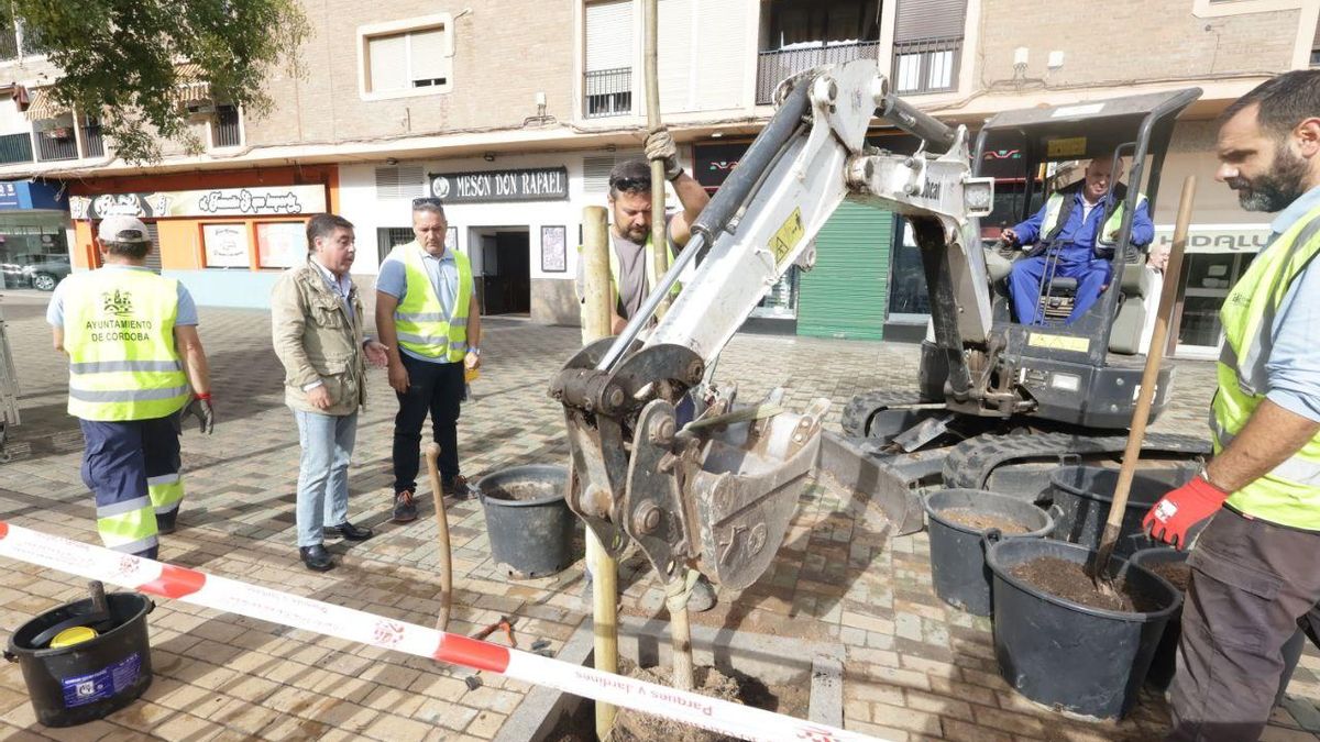 Arranca la plantación de los 3.000 árboles prometidos por el Ayuntamiento para distritos y colegios