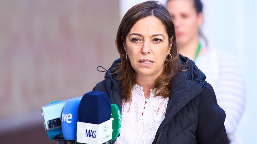 Ambrosio denuncia en un juzgado la posible relación del Ayuntamiento con la campaña 'fake' que usa su rostro