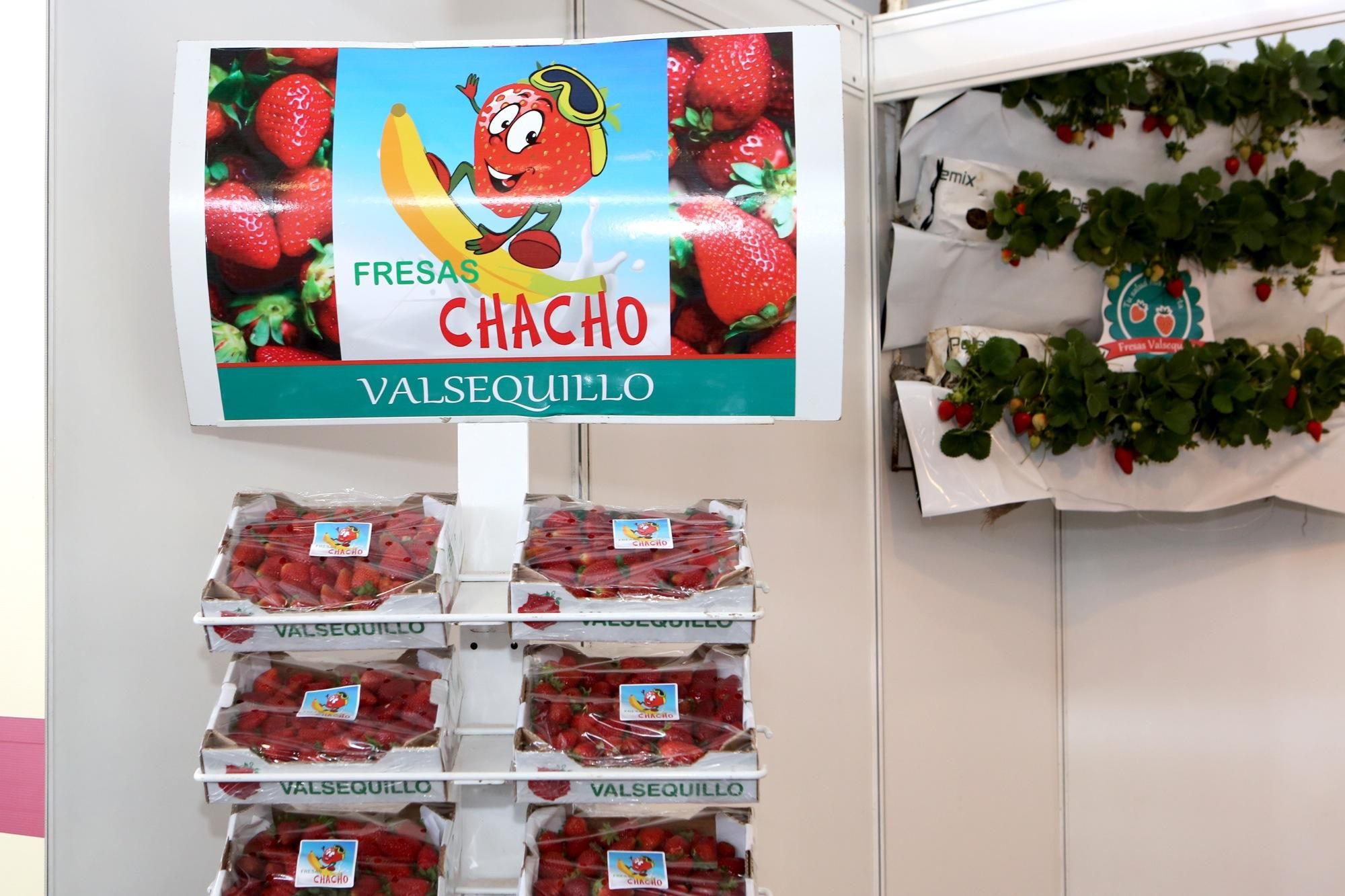 Feria Gran Canaria Me Gusta en Infecar (Las Palmas de Gran Canaria). Alejandro Ramos.