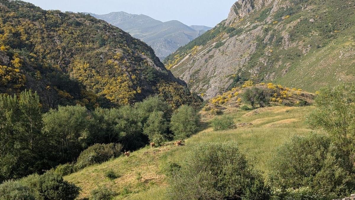 Paisaje del Parque Natural de Babia y Luna.