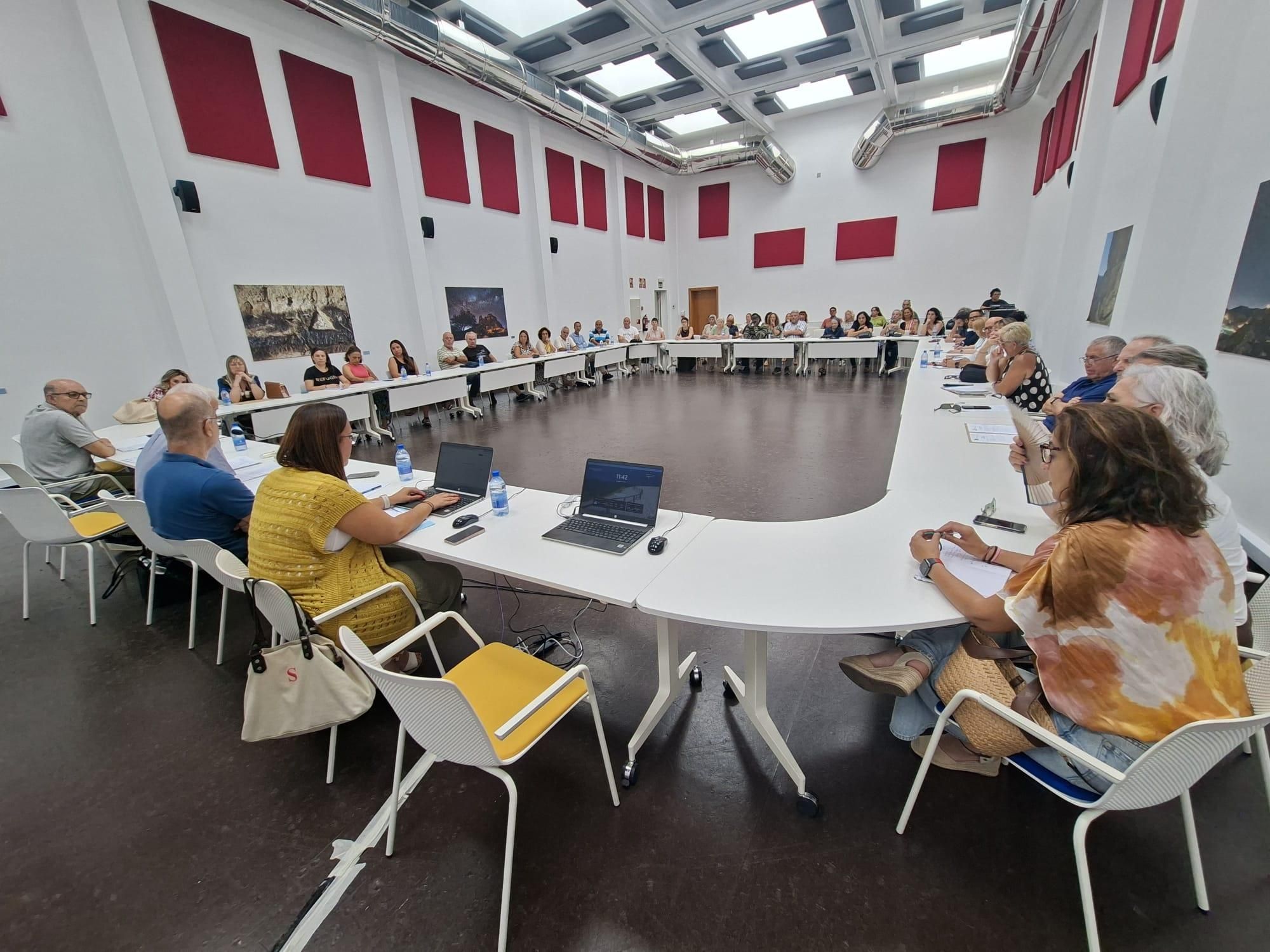 Consejo Insular de Solidaridad de Gran Canaria, celebrado este miércoles.