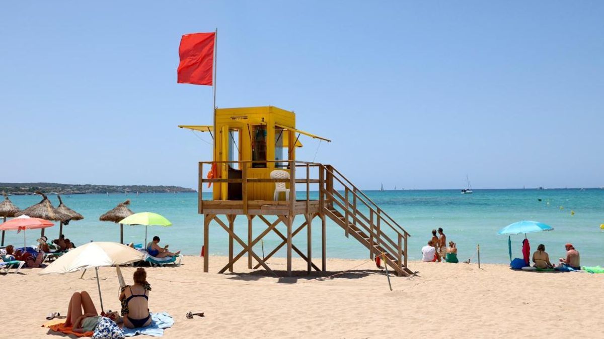 Una anciana italiana és ferida per la mossegada d'un animal marí a la Platja de Palma