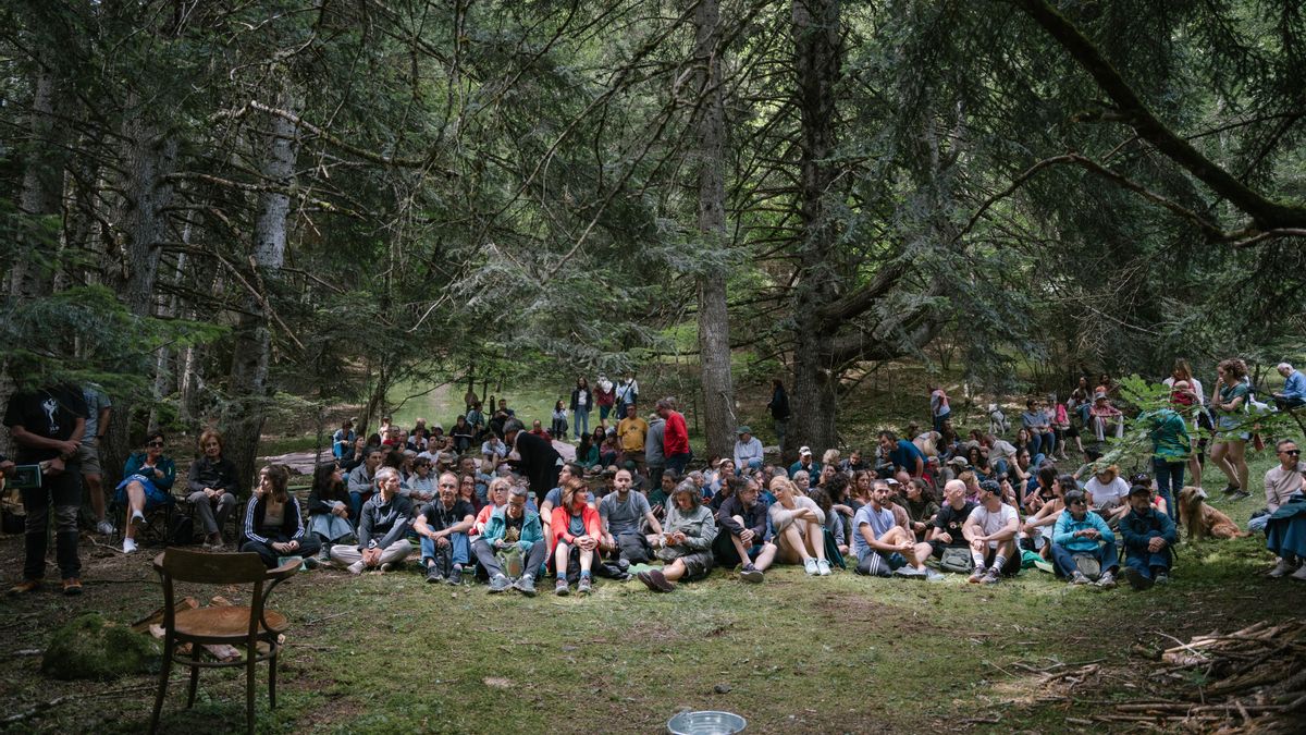 Una actuación en pleno campo en la edición del Dansàneu de 2025