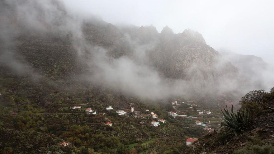 Niebla en la zona alta de Gran Canaria
