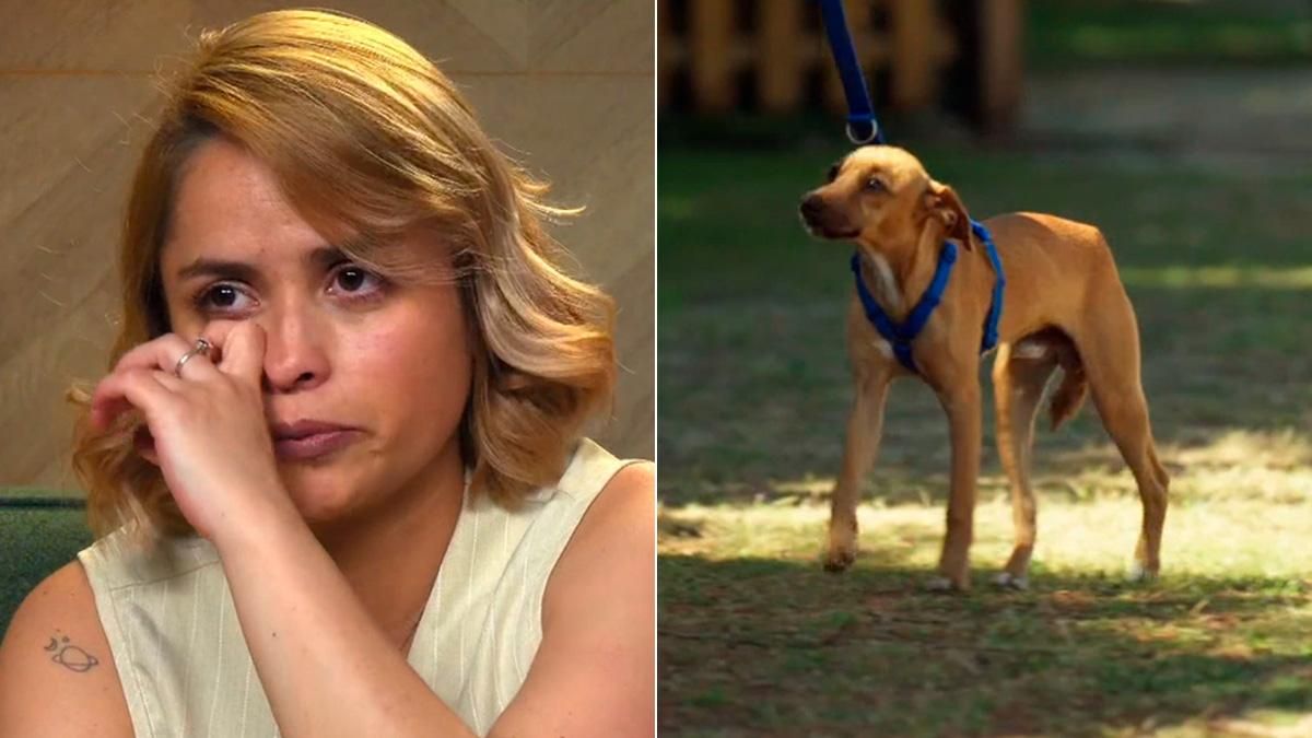 Una de las adopciones en 'Dog House'
