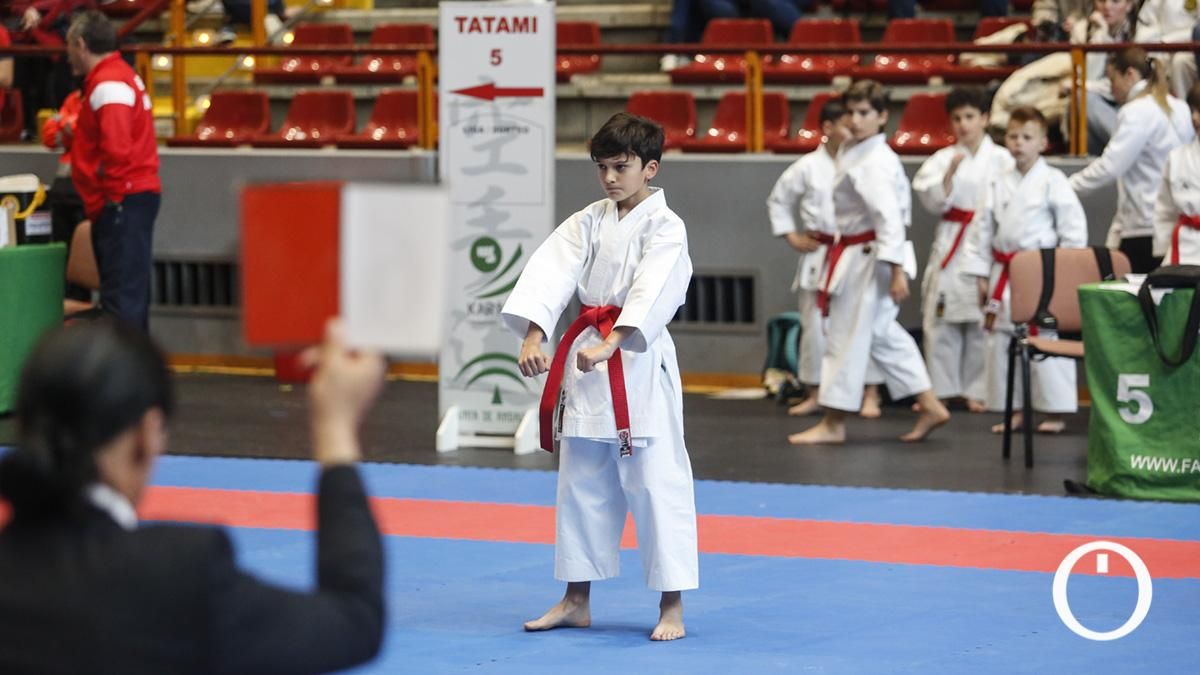 Campeonato de Andalucía Infantil y Juvenil de kárate