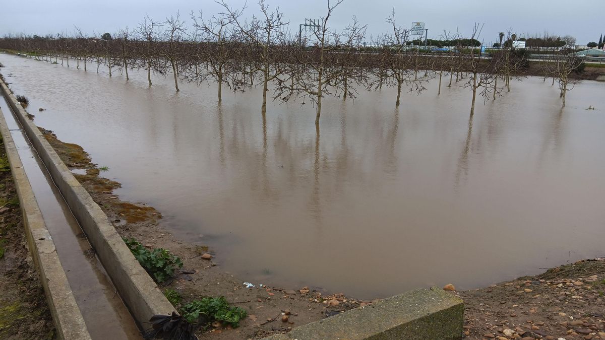 Entran en servicio las oficinas del Gobierno en Coria y Jerez para tramitar las ayudas por el temporal