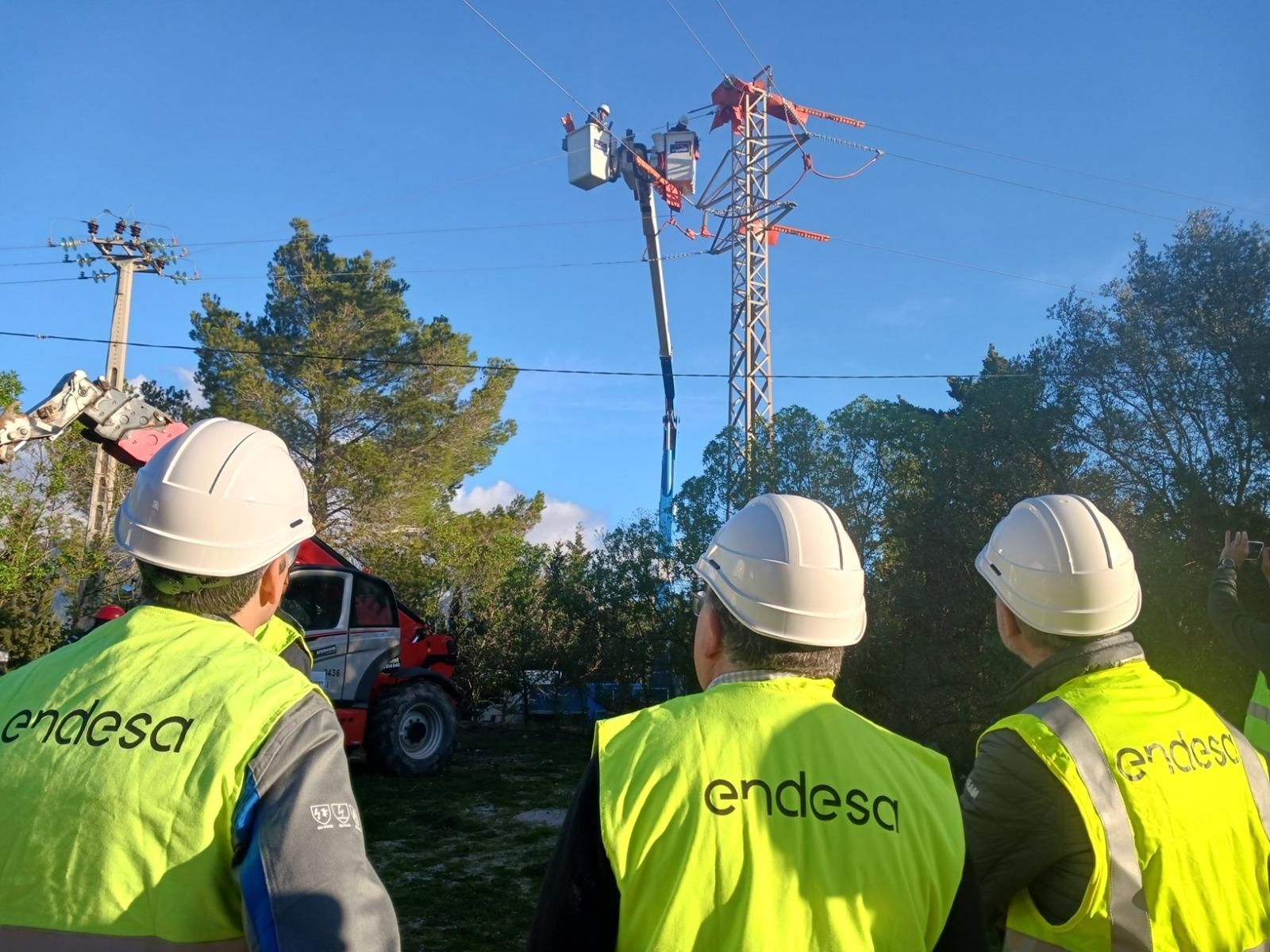 Endesa aumenta las medidas para proteger a la avifauna de Canarias instalando nuevos apoyos....