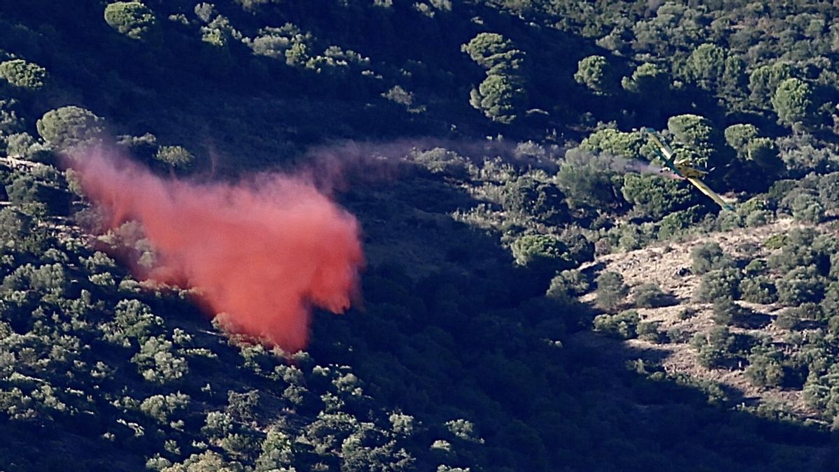 Una avioneta usa retardante en la zona del incendio.