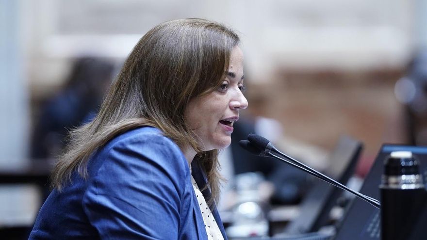 Cecilia Moreau: "Los senadores de JxC no tienen empatía ni responsabilidad política"