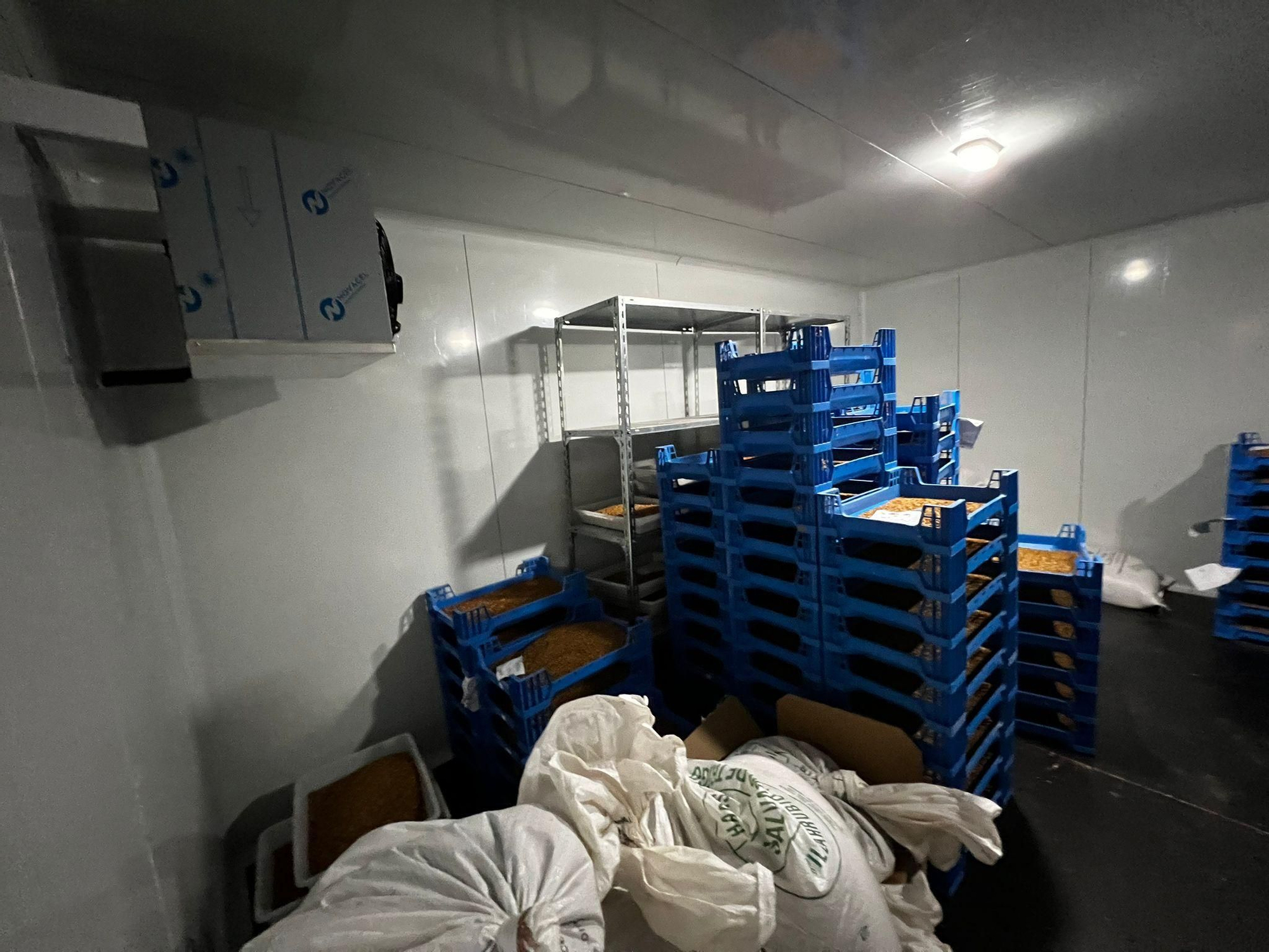 Sala de almacenaje de insectos