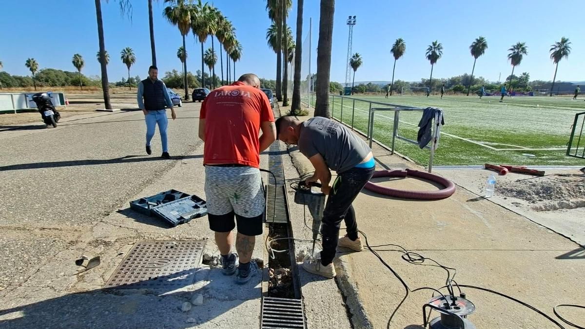 El Córdoba CF repone los daños eléctricos en la Ciudad Deportiva tras la oleada de robos sufrida a finales de septiembre