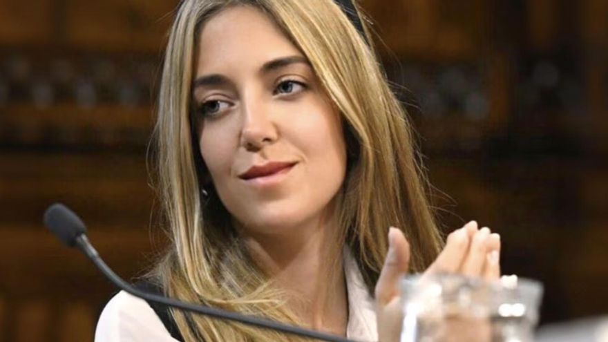 Renunció la funcionaria involucrada en el escándalo de la ANDIS a la que le encontraron US$ 700.000