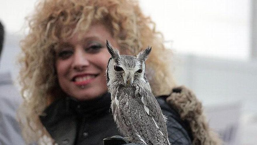 Peio García / ICAL La Virgen del Camino acoge las Jornadas Internacionales de Cetrería del Norte de España