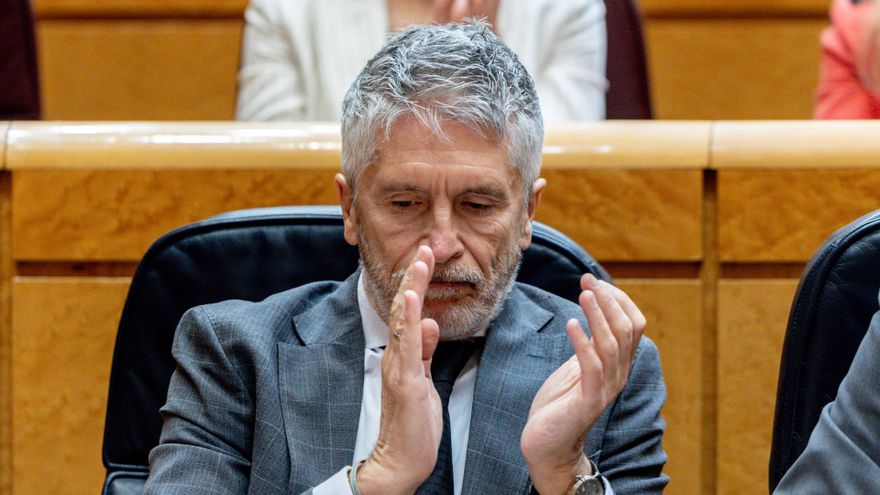 El ministro del Interior, Fernando Grande-Marlaska, durante una sesión de control al Gobierno en el Senado