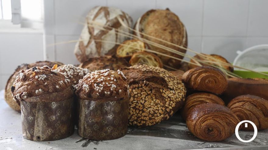 El hallazgo de un horno y cereales de hace 2.000 años en Córdoba permitirá recuperar el sabor del pan que salvó a César