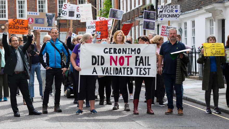 Manifestantes en una marcha desde el Departamento de Medio Ambiente, Alimentación y Asuntos Rurales (DEFRA) hasta Downing Street contra la decisión de sacrificar a la alpaca Gerónimo, el pasado 9 de agosto.
