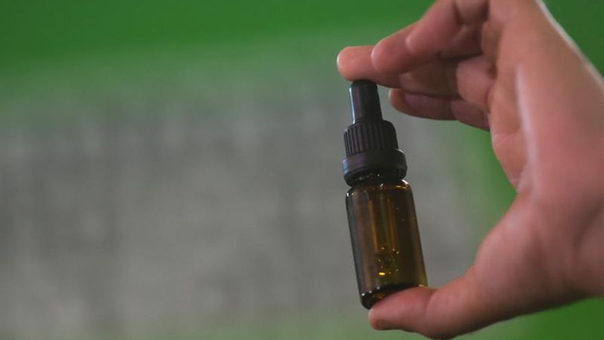 La OMS prepara la primera evaluación oficial del valor médico del cannabis