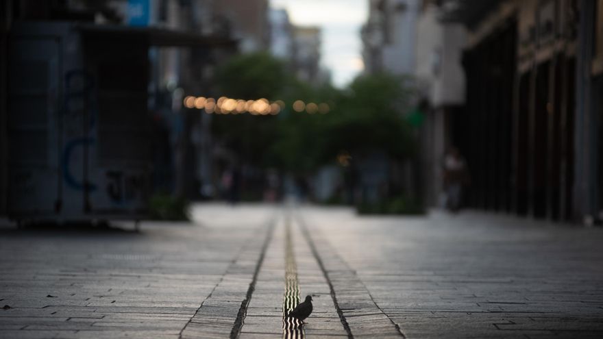 Violencia en Rosario: la punta de un iceberg que todavía no asomó