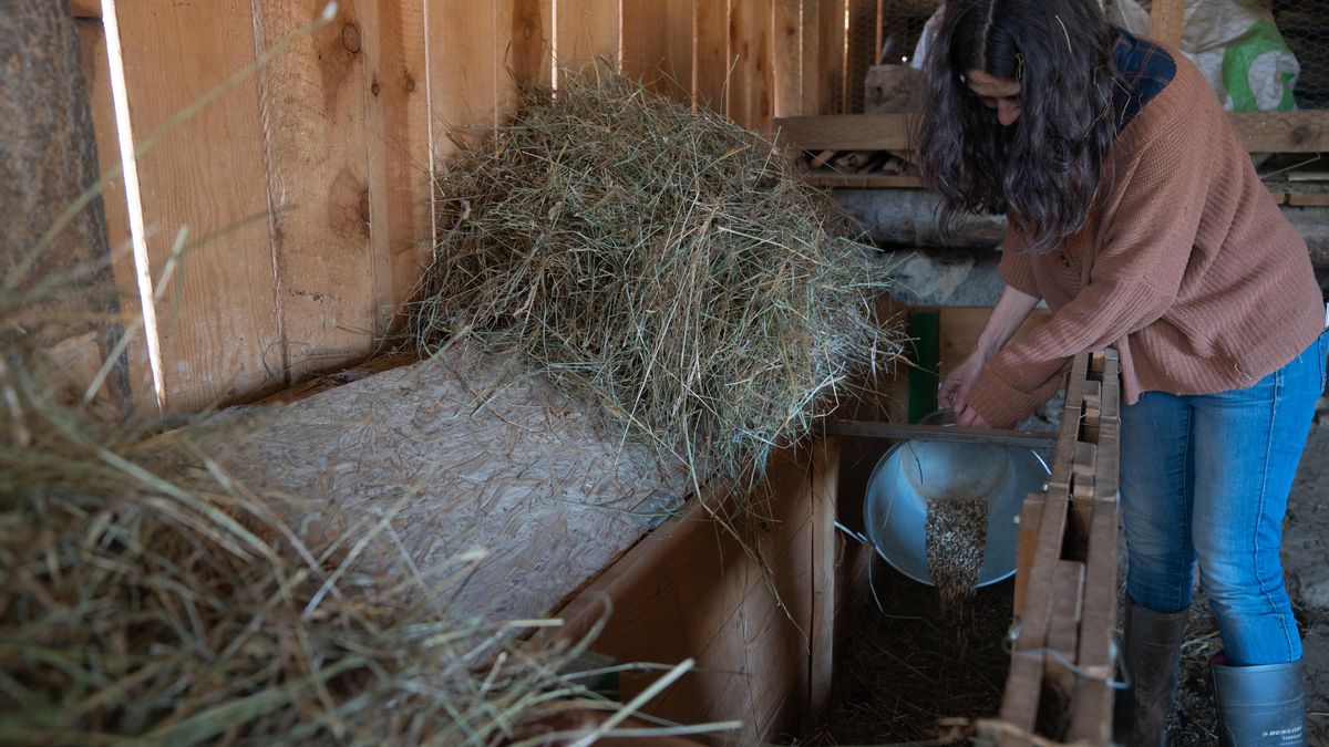 “Estamos en tal domesticación de la vida humana que nos hemos apartado del sentido más natural y salvaje”.
