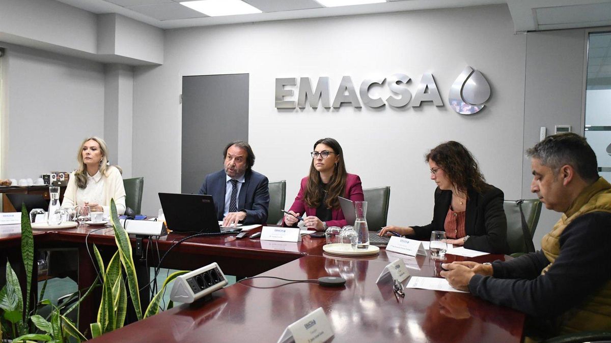 El consejo de administración de la Empresa Municipal de Aguas de Córdoba (Emacsa)