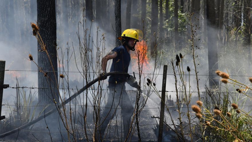 Extinguieron los cinco focos de incendio en Ezeiza que afectaron a cientos de hectáreas cercanas a los barrios privados