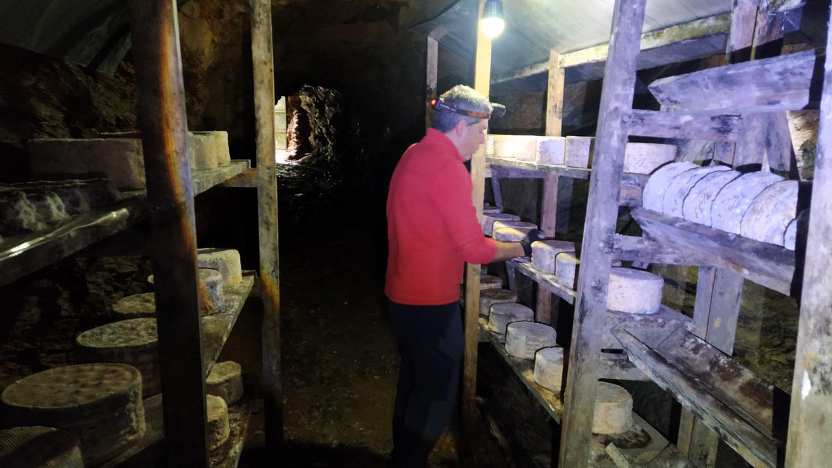 Hierro, miel, naturaleza y queso: la receta única que convierte a Ocero en visita obligada