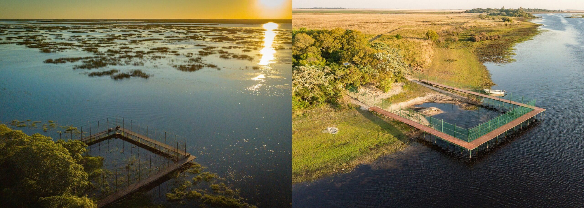Así se ven los corrales de presuelta de las nutrias, en su transición hacia la libertad. Foto: Sebastián Navajas / cortesía Rewilding Argentina
