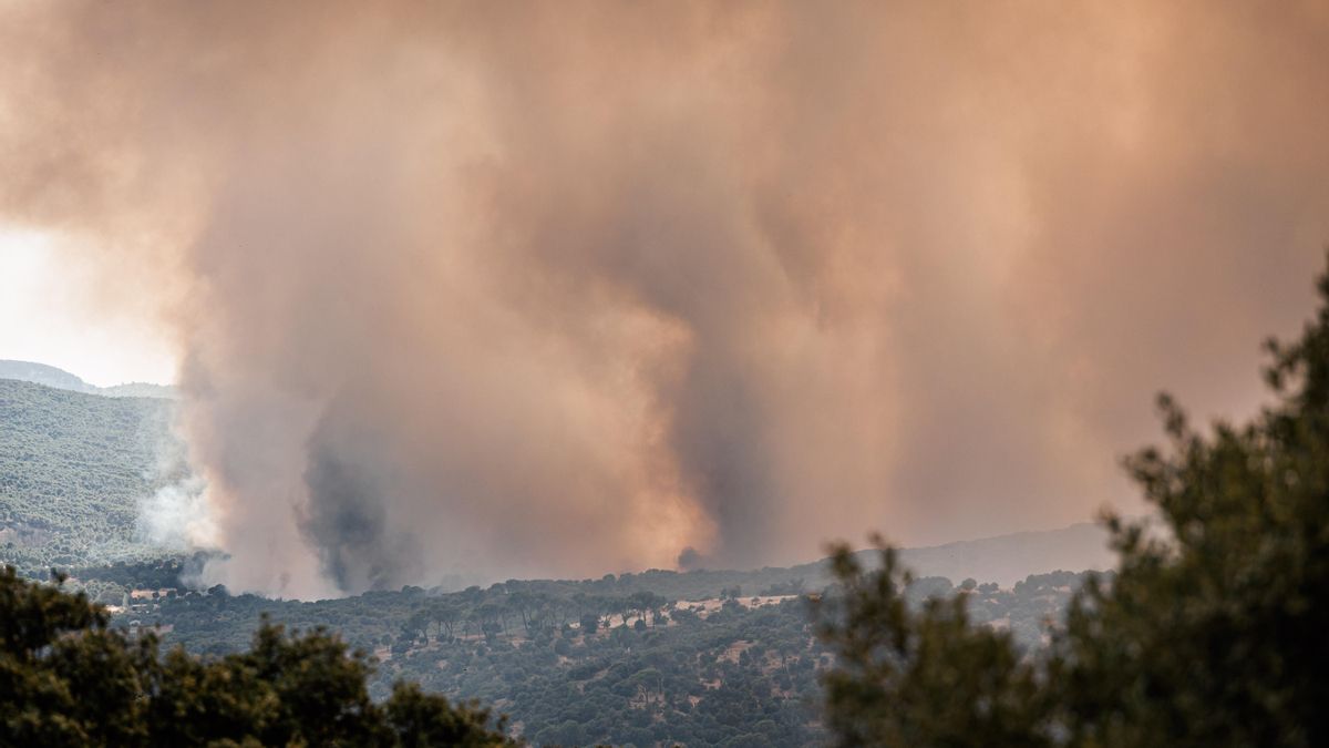 Ayuso pide al Gobierno que declare la emergencia nacional y tome el control de los incendios en Madrid