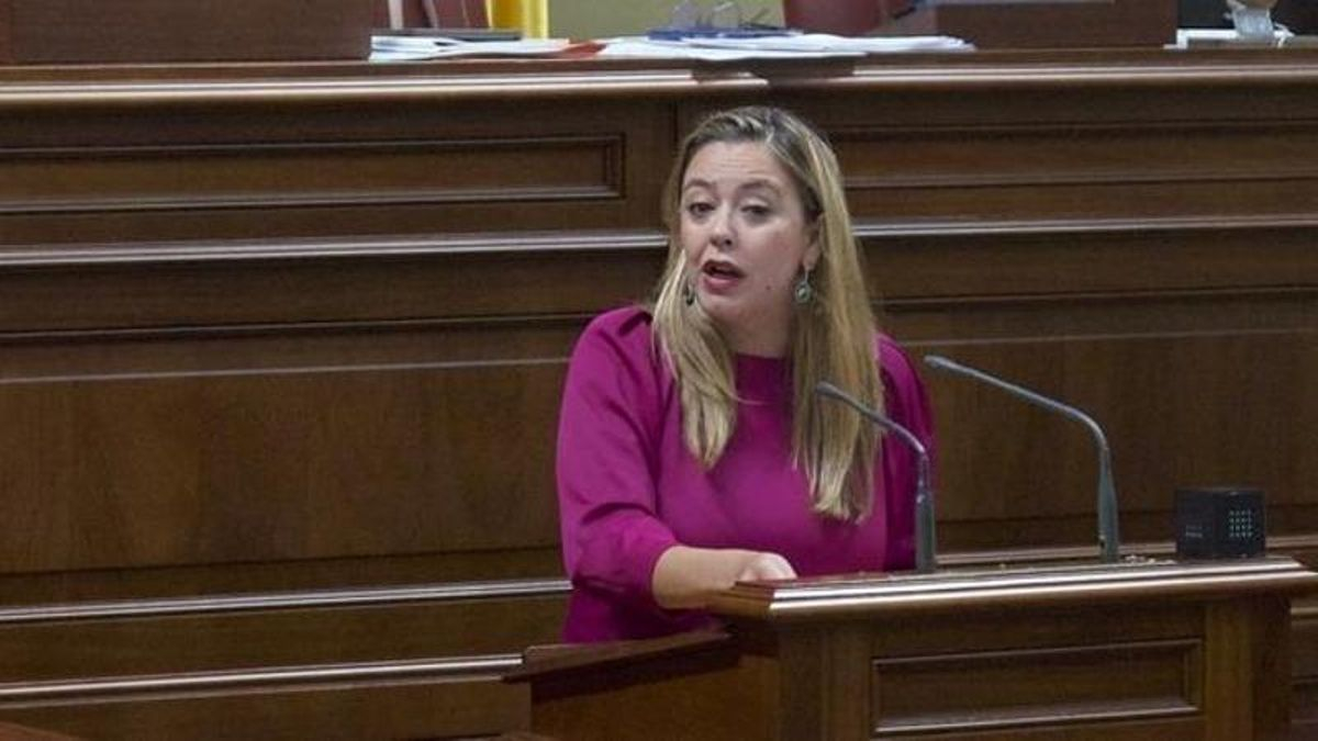 La Fiscalía envía al Supremo la denuncia contra Dolores Corujo (PSOE) de un director insular del gobierno de CC